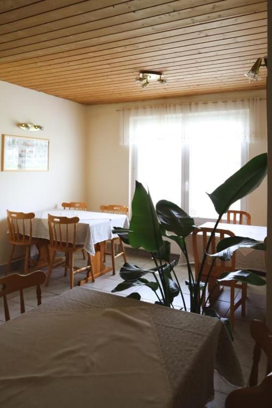 Apartments-Rooms Kocijancic Блед Екстериор снимка